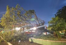 Sábado de calor intenso termina com ventania e queda de árvore em Itaberaba Sábado de calor intenso termina com ventania e queda de árvore em Itaberaba