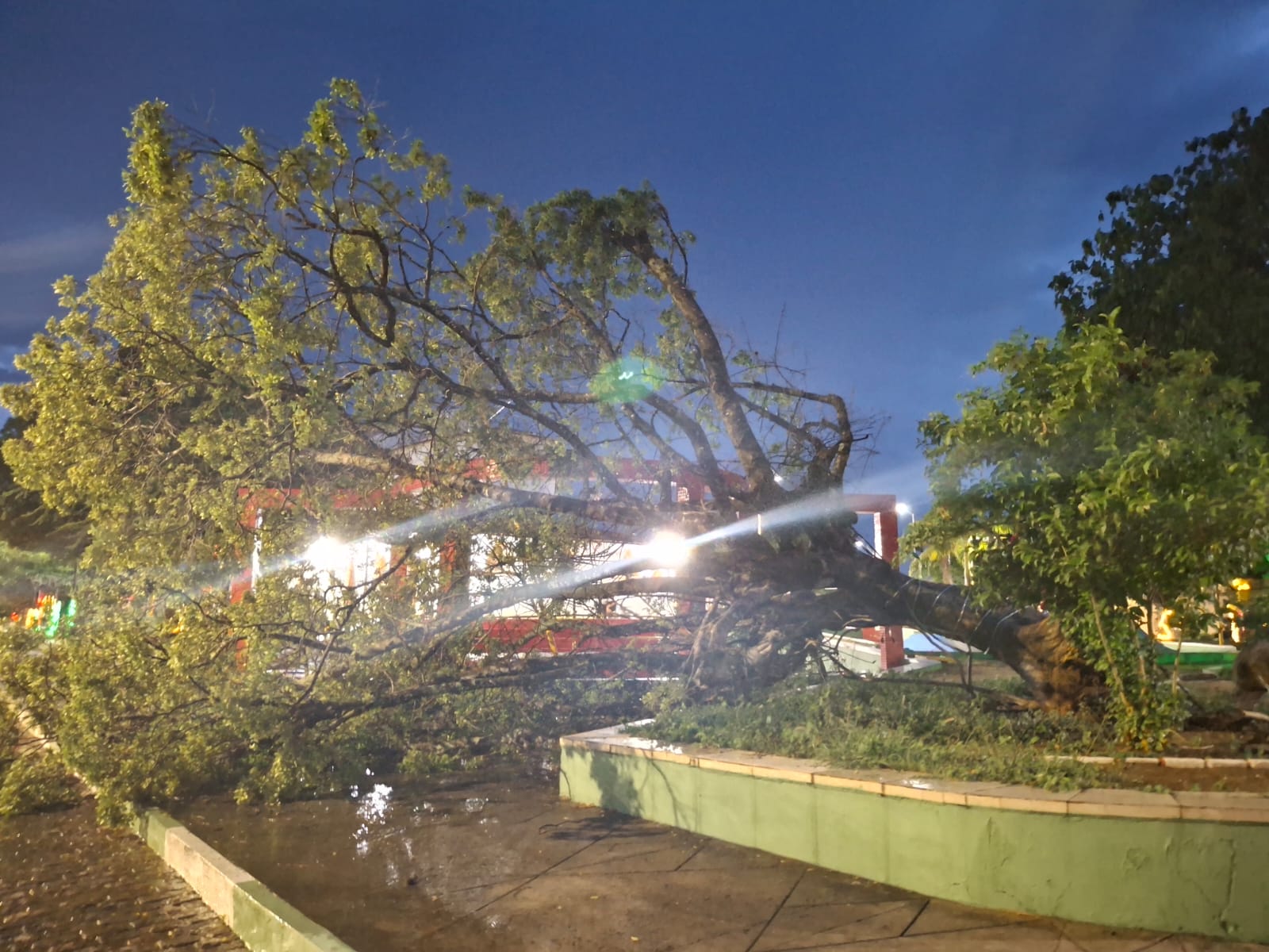 Sábado de calor intenso termina com ventania e queda de árvore em Itaberaba