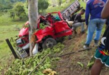 Caminhão é retorcido e motorista fica preso nas ferragens após batida em árvore