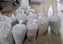 Utinga: Operação cumpre mandados contra organização criminosa e prende advogado investigado por tráfico e homicídios