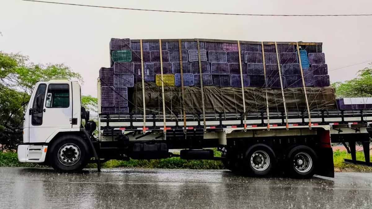 Polícia Rodoviária apreende 290 sacos de cimento sem nota fiscal durante fiscalização em Urandi
