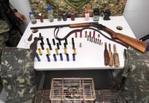 Policia apreende arma e aves silvestres mantidas em cativeiro na zona rural de Iaçu