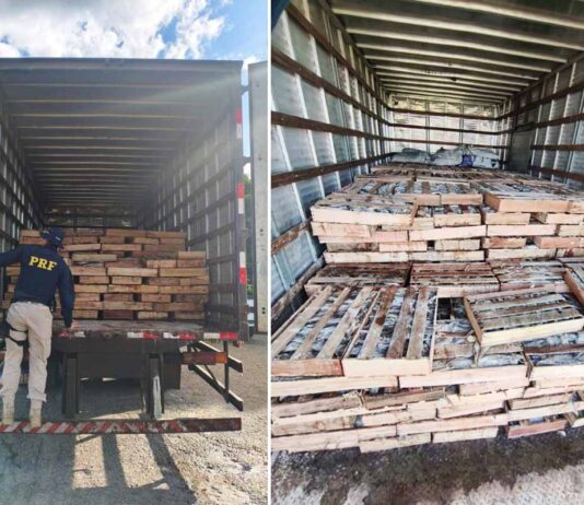 PRF apreende 9 toneladas de peixe transportado de forma irregular na BR-116, em Milagres PRF apreende 9 toneladas de peixe transportado de forma irregular na BR-116, em Milagres
