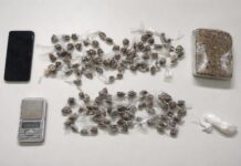 PM apreende drogas e conduz suspeito à delegacia em Boa Vista do Tupim PM apreende drogas e conduz suspeito à delegacia em Boa Vista do Tupim