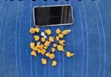 Homem é preso em flagrante com drogas em Itaberaba Homem é preso em flagrante com drogas em Itaberaba