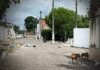 Moradores denunciam abandono e presença de cães soltos no bairro URBIS, em Itaberaba Moradores denunciam abandono e presença de cães soltos no bairro URBIS, em Itaberaba