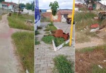 Ex-prefeito publica em rede social e denuncia abandono em Itaberaba Ex-prefeito publica em rede social e denuncia abandono em Itaberaba