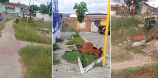 Ex-prefeito publica em rede social e denuncia abandono em Itaberaba Ex-prefeito publica em rede social e denuncia abandono em Itaberaba