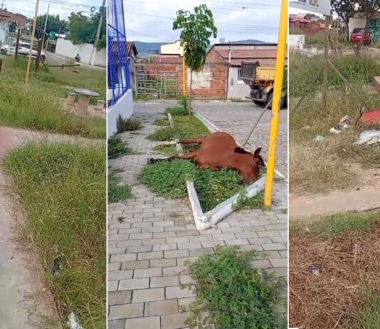 Ex-prefeito publica em rede social e denuncia abandono em Itaberaba Ex-prefeito publica em rede social e denuncia abandono em Itaberaba