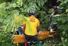 Motociclista sofre acidente e passa a noite dentro de riacho em Ipirá Motociclista sofre acidente e passa a noite dentro de riacho em Ipirá