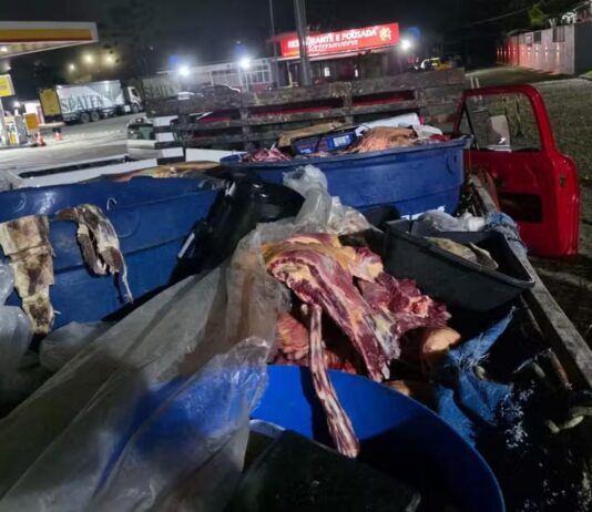 Quase uma tonelada de carne clandestina é apreendida no interior da Bahia Quase uma tonelada de carne clandestina é apreendida no interior da Bahia