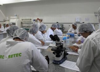 IF Baiano oferece cursos gratuitos de curta duração em Itaberaba IF Baiano oferece cursos gratuitos de curta duração em Itaberaba