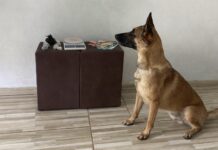 Policia apreende drogas em Ruy Barbosa Policia apreende drogas em Ruy Barbosa