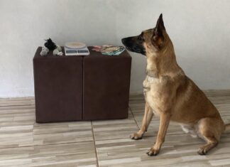 Policia apreende drogas em Ruy Barbosa Policia apreende drogas em Ruy Barbosa