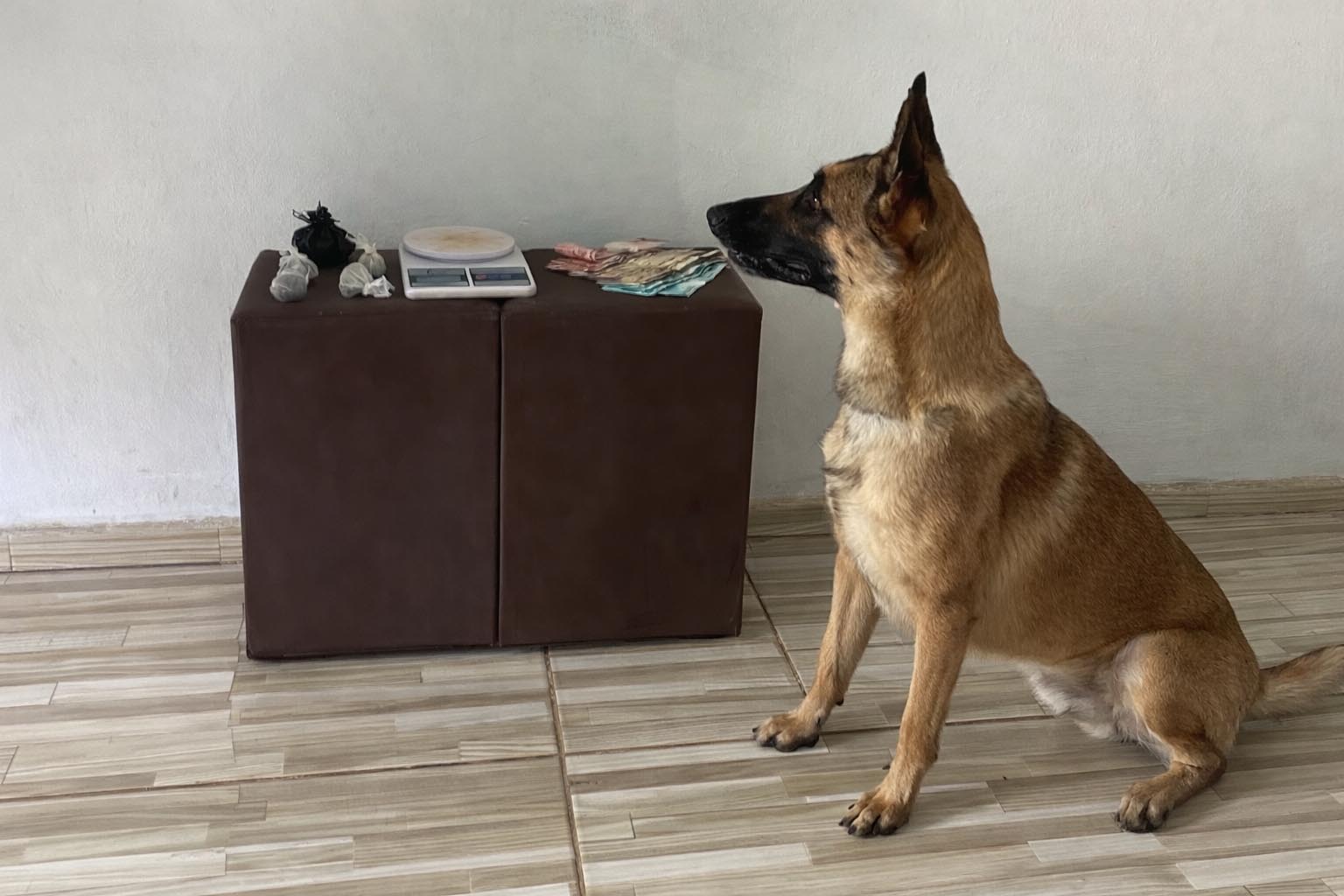 Policia apreende drogas em Ruy Barbosa