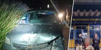 Adolescente de 16 anos dirige por 550 km após conhecer suposta garota no Roblox e é resgatado pela PRF na BR-242 Adolescente de 16 anos dirige por 550 km após conhecer suposta garota no Roblox e é resgatado pela PRF na BR-242