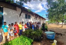 Estado realiza ação piloto de gestão de assentamentos e entrega 5.000 mudas frutíferas no Filhos da Terra, em Itaberaba