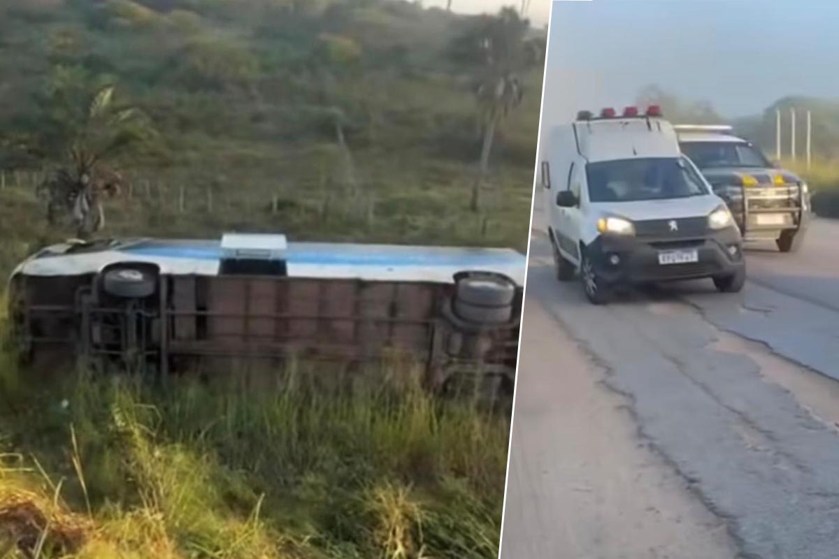Ônibus da Novo Horizonte sofre acidente na BR-242