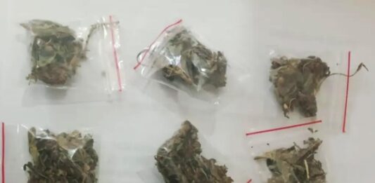 Homem é preso em flagrante por tráfico de drogas em Macajuba Homem é preso em flagrante por tráfico de drogas em Macajuba