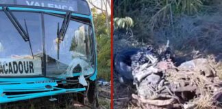 Motociclista morre após bater de frente com ônibus Motociclista morre após bater de frente com ônibus
