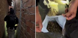 Polícia Civil prende suspeito de tráfico de drogas durante operação em Itaberaba Polícia Civil prende suspeito de tráfico de drogas durante operação em Itaberaba
