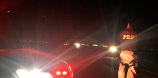 Pedestre morre após atropelamento por carreta na BR-242