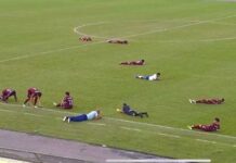 Enxame de abelhas invade estádio e interrompe partida de futebol na Bahia Enxame de abelhas invade estádio e interrompe partida de futebol na Bahia