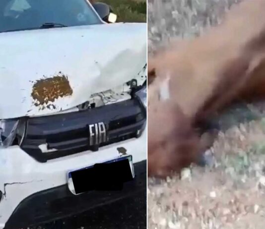 Filho de Neto Araújo sofre acidente a caminho do velório do pai Filho de Neto Araújo sofre acidente a caminho do velório do pai