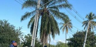Acidente com moto deixa uma pessoa ferida na BA-046, em Itaberaba Acidente com moto deixa uma pessoa ferida na BA-046, em Itaberaba