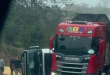 BR-242 é totalmente interditada após tombamento de bitrem na região de Boa Vista do Tupim BR-242 é totalmente interditada após tombamento de bitrem na região de Boa Vista do Tupim