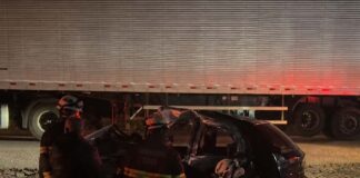 Motorista morre após colisão entre carro e caminhão de abacaxi na BR-116 Motorista morre após colisão entre carro e caminhão de abacaxi na BR-116