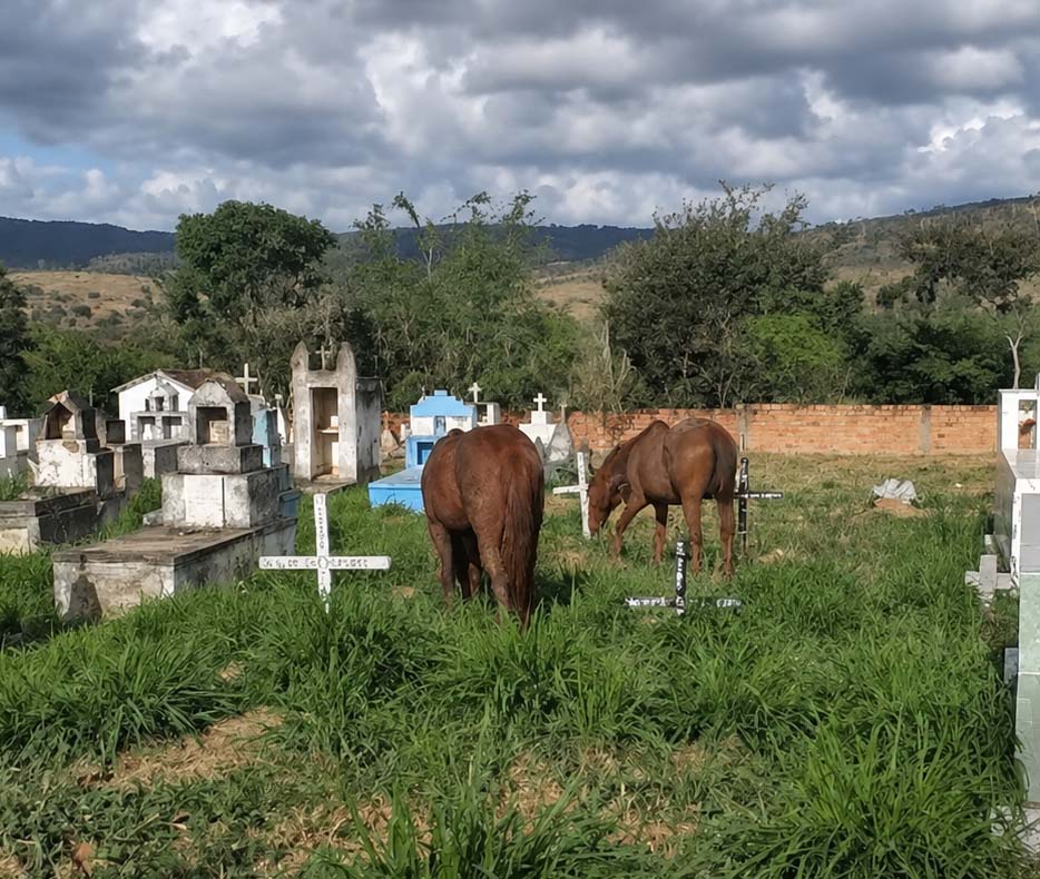 Moradores cobram providências para cemitério no povoado de Ipoeira, em Itaberaba