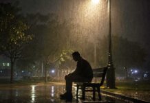 Violência doméstica contra homens existe? Entenda quais proteções a vítima pode buscar no Brasil Violência doméstica contra homens existe? Entenda quais proteções a vítima pode buscar no Brasil