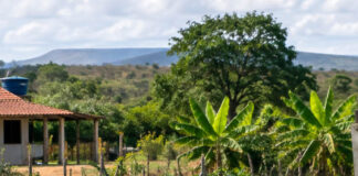 Incra notifica assentados por abandono de lotes em Boa Vista do Tupim, Araçás e Sítio do Mato Incra notifica assentados na Bahia por suspeita de abandono de lotes e estabelece prazo para defesa