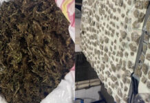PM apreende quase 300 porções de maconha em imóvel abandonado em Itaberaba PM apreende quase 300 porções de maconha em imóvel abandonado em Itaberaba
