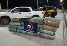 PRF apreende 140 kg de maconha durante abordagem PRF apreende 140 kg de maconha durante abordagem na BR-324, em Salvador