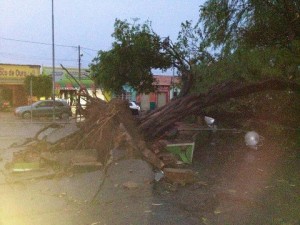 Utinga: Chuva forte e vendaval causam estragos na cidade