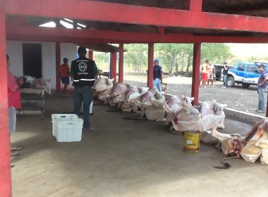 Treze pessoas são presas em Itaberaba, Alagoinhas e Santo Estevão por conta de abate clandestino