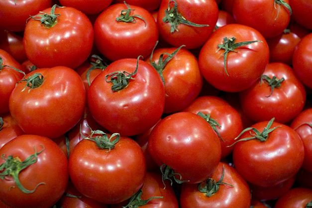 PRF apreende 7 toneladas de tomates na BR-242 em Itaberaba