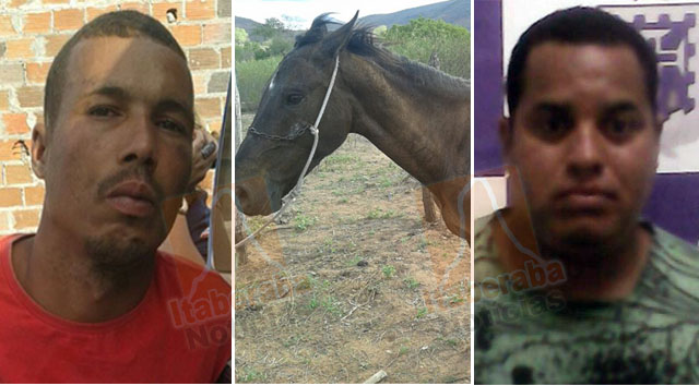 Policia recupera cavalo roubado e prende acusado de trafico de drogas em Itaberaba