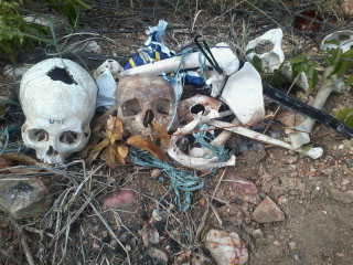 Ossada Humana é encontrada entre Ipirá e Baixa Grande