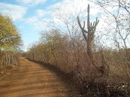 Itaberaba recebe Comitê Estadual para Ações de Convivência com Seca