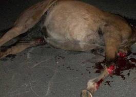 Giro policial no fim de semana em Itaberaba