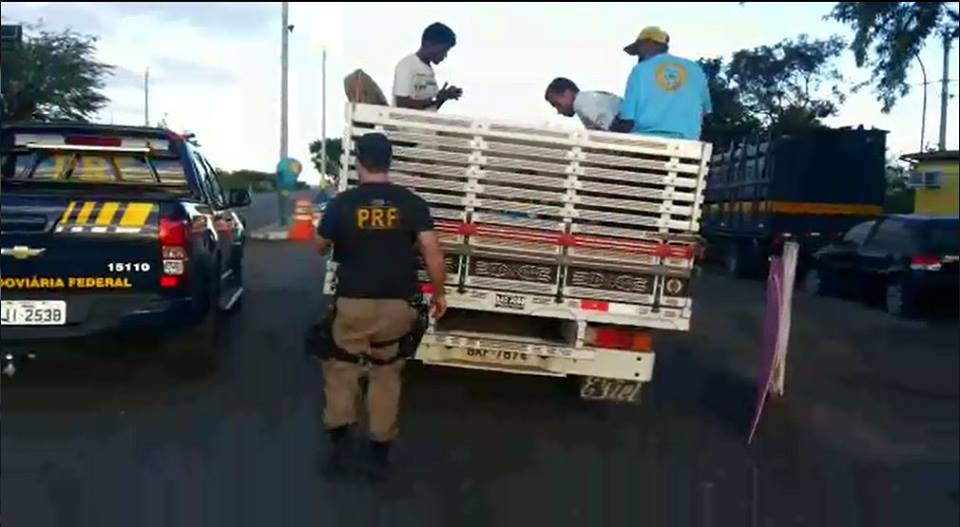 PRF flagra agricultores transportados como animais em carroceria de veículo em Itaberaba
