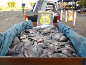 PRF apreende carga de alimentos em Itaberaba