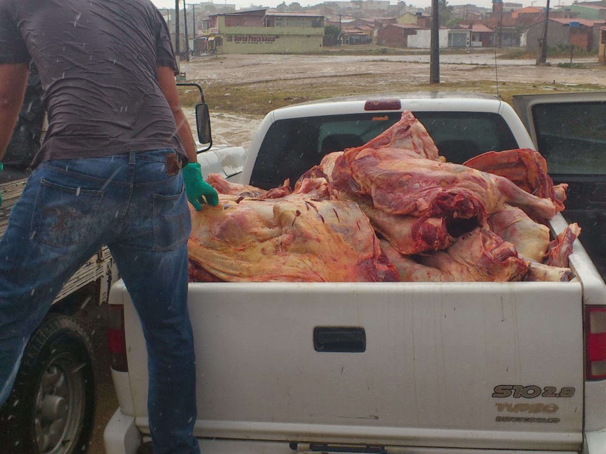 Mais de meia tonelada de carne clandestina é apreendida em Ipirá