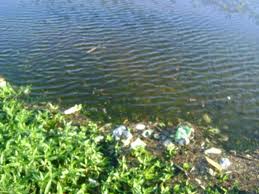 Nesta Sexta: Audiência pública do Movimento Paraguaçu Rio da Bahia